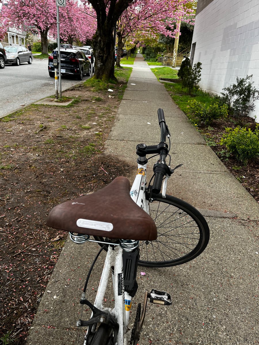 Jadson_A's tweet photo. after a whole winter of hobonation in my balcony this lady is back on track
Check this fresh selle royal seat yo
so neat
📍DreamCycle
Commercial Dr
#micargi #bike #eastvan https://t.co/p43ECTNj5W