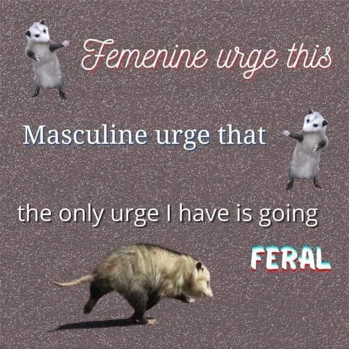 nonbinarythings's tweet photo. https://t.co/A2Udlj6KN6