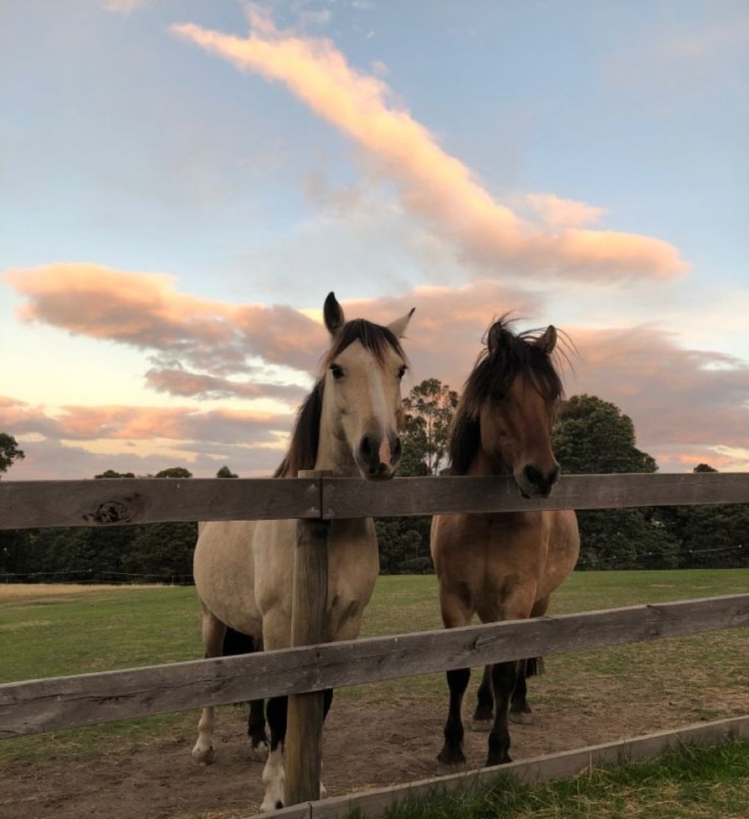 Acilen böyle bı ortama ihtiyacım var...