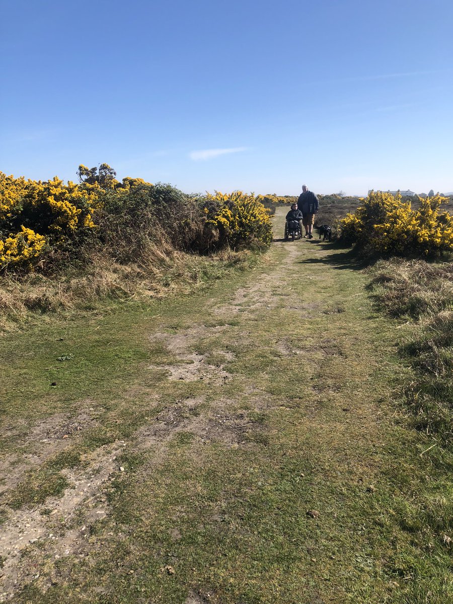 maryferrier's tweet photo. A beautiful day exploring the accessible trails at Dunwich Heath 😊☀️🧑🏻‍🦽 @DunwichHeathNT @nationaltrust @East_England_NT @SuffolkAONB  @GetOutKids @getoutsidemag @TOGWalks @accessTOG https://t.co/fG0s80eAUn