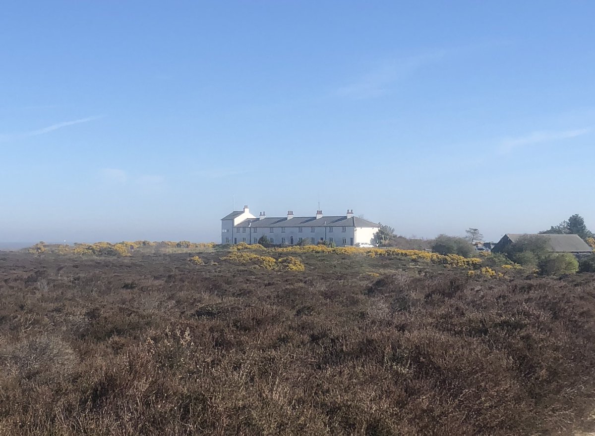 maryferrier's tweet photo. A beautiful day exploring the accessible trails at Dunwich Heath 😊☀️🧑🏻‍🦽 @DunwichHeathNT @nationaltrust @East_England_NT @SuffolkAONB  @GetOutKids @getoutsidemag @TOGWalks @accessTOG https://t.co/fG0s80eAUn