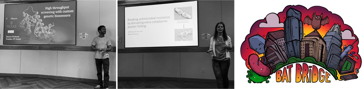Despoina Mavridou (@bondssbond) on Twitter photo Great BATBridge presentations this month. Genetic bio #sensors that help improve the production of complex chemicals by @simondoelsnitz (<a href="/utexsyn/">CSSB-Ellington</a>) and new strategies to break #AMR by <a href="/nikikaderabkova/">Nikol</a>. Fun #Microbiology, #evolution and #synbio research. <a href="/ut_mbs/">Molecular Biosciences</a> Great BATBridge presentations this month. Genetic bio #sensors that help improve the production of complex chemicals by @simondoelsnitz (<a href="/utexsyn/">CSSB-Ellington</a>) and new strategies to break #AMR by <a href="/nikikaderabkova/">Nikol</a>. Fun #Microbiology, #evolution and #synbio research. <a href="/ut_mbs/">Molecular Biosciences</a>