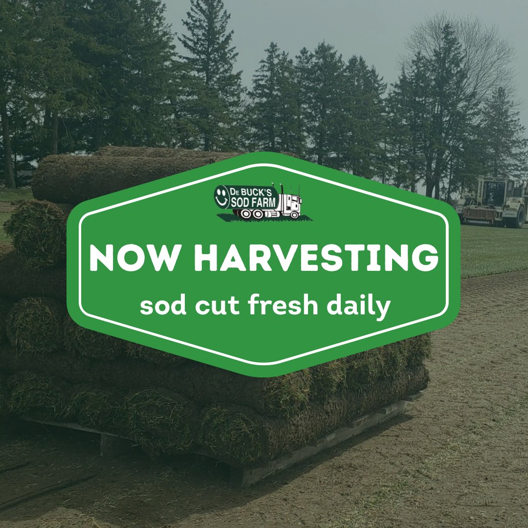 DeBuckSodFarm's tweet photo. The snow has melted and we are back harvesting sod orders!
#sodharvest2022 #davisonmichigan #realgrass #debucksodfarm #kentuckybluegrass #nomoresnow #cutfreshdaily https://t.co/rSYD50Z6Zs