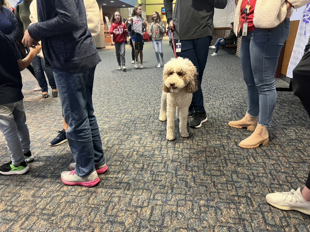 auggie_in_the_middle tweet media