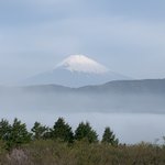 ツイートに含まれる画像