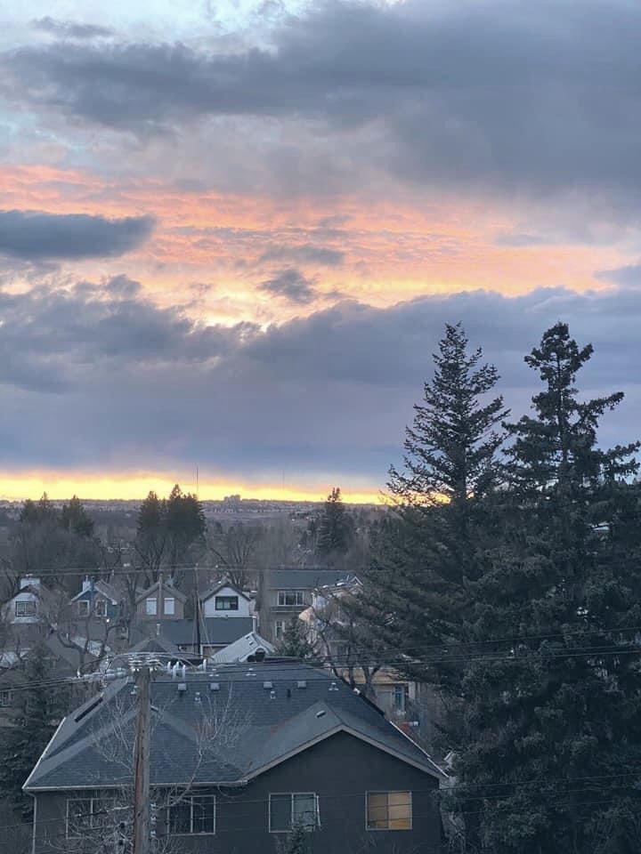 DonnaMarieArt1's tweet photo. 4:44
Love ❤️
Close enough 
If’s pathetic 
It’s 2022
🎨🕊W A R🕊🎨
When you witness such compassion 🦋heartfelt gratitude🦋
what’s going on with not stopping this creep show 🎨
In my opinion🙏🏻
#ArtistOnTwitter 
#endtheseparation #daisiesinthegrass #flowerwhisperer #findcompassion https://t.co/QwycZpSKqR