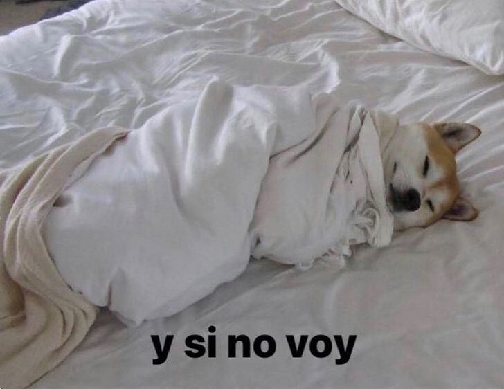 todas las mañanas