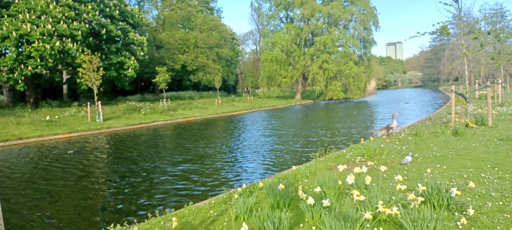 Spring in London💚🌳🌿🌷🌸🌱🍃🏵💮🌿🌷
#springtime #springcolours #spring #royalparks #Londoninspring #Londonparks #blossomtrees #flowersinspring