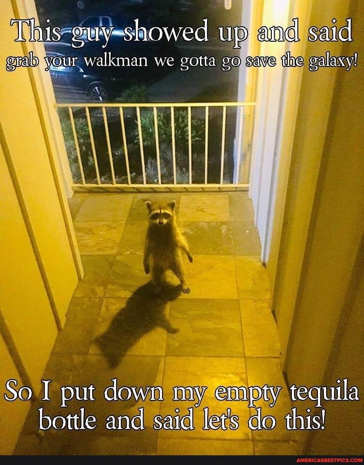 PhilipH95896047's tweet image. #snowed #aiid #said 
americasbestpics.com/picture/tDI4D5…
#AmericasBestPicsAndVideos