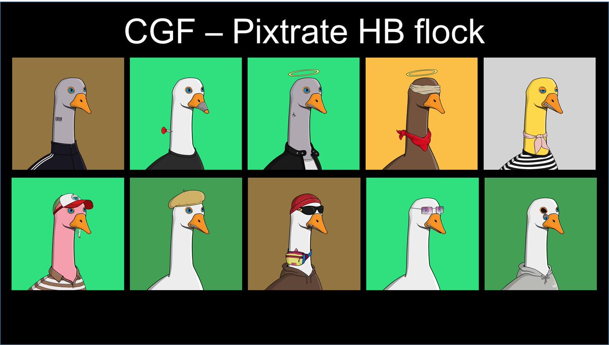 PixTrate's tweet photo. HONK HONK! Pixtrate Holder's Bank strikes again - this time we purchased 10 CGF on behalf of a community proposal! Great work Pixfam  👏  @CrazyGooseFlock https://t.co/JHkccJpxFq
