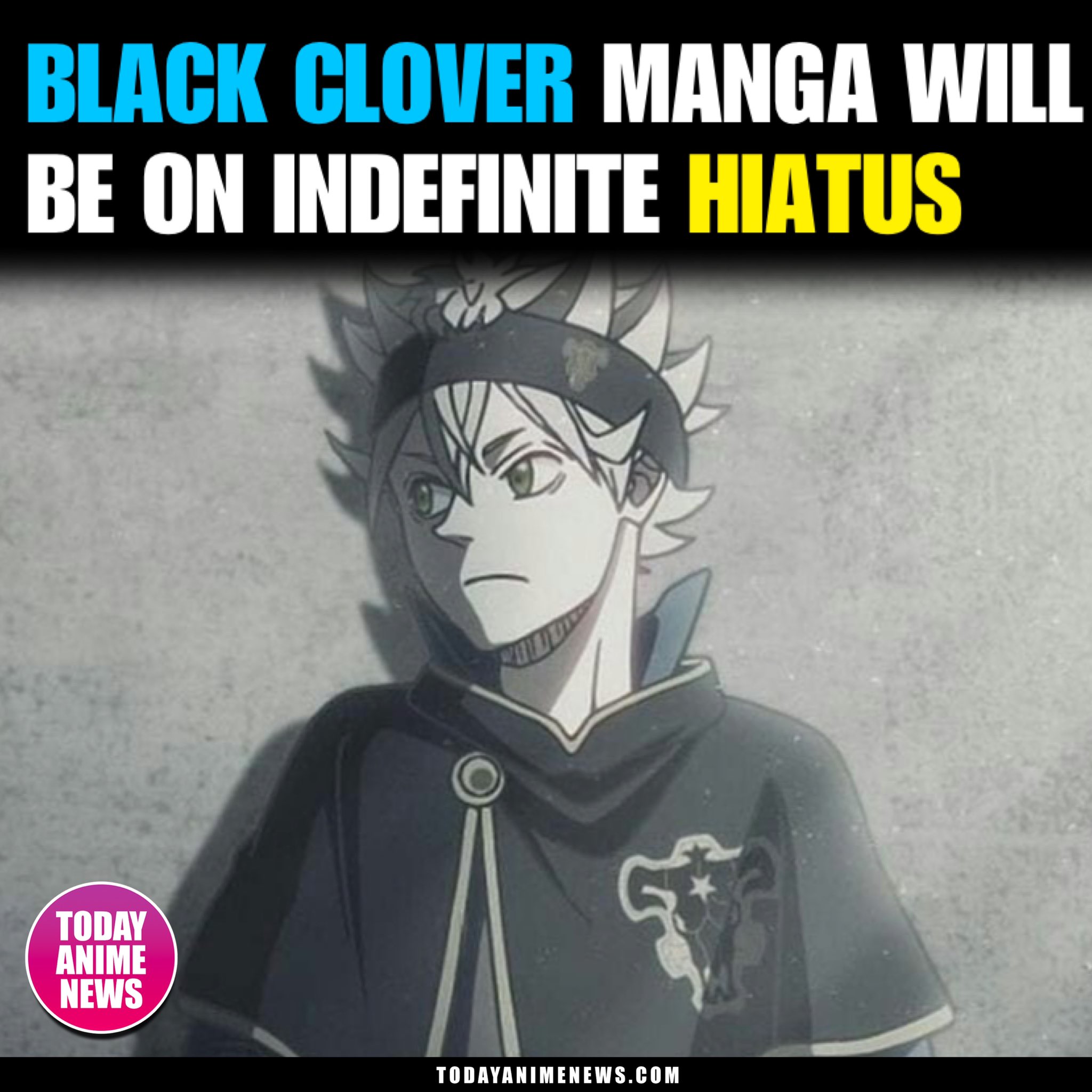 23 Anime Like Black Clover