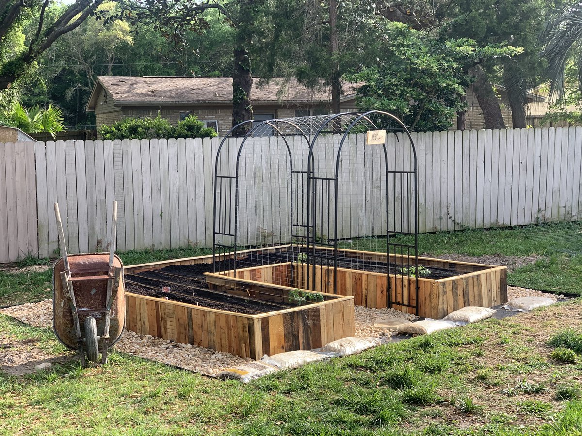 IamEmericuh's tweet photo. This weeks project: Raised Beds using Recycled Pallets! With some help from my little garden toddler!  🥕🍅🪴 @shelbyjohnsin https://t.co/yOoP68pXrN