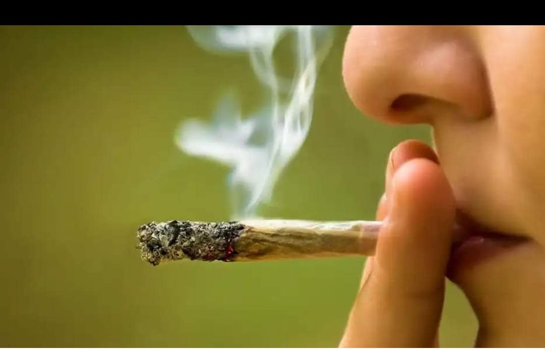 Hola <a href="/LunaOlivia/">Olivia Luna ✨</a> feliz 4/20 .  Raro escucharte a ésta hora. Pero aquí estoy 😁