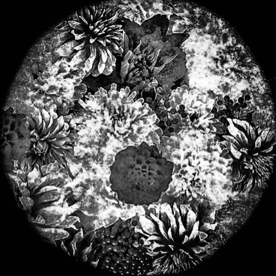 __AMART__'s tweet image. #新しいプロフィール画像