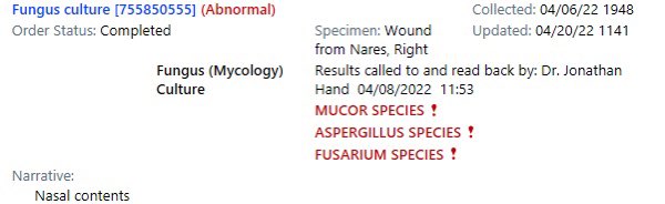 Abby Cocco tweet media