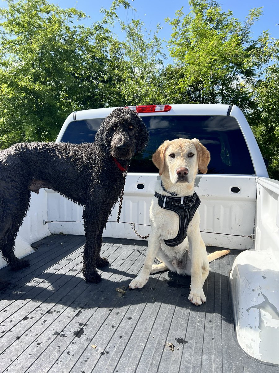 alle_moreno2's tweet photo. Verizon isn’t working all day? That’s ok let’s take the boys to the lake! 

Manny’s first day swimming! https://t.co/fSU8ndRL7D