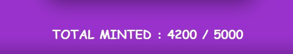 dOGes Unleashed 💜 tweet media