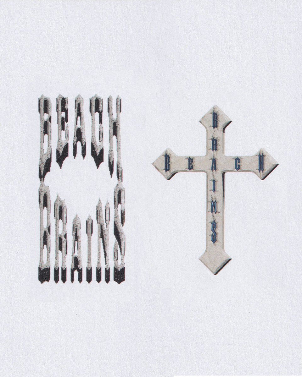 Beach Brains tweet media