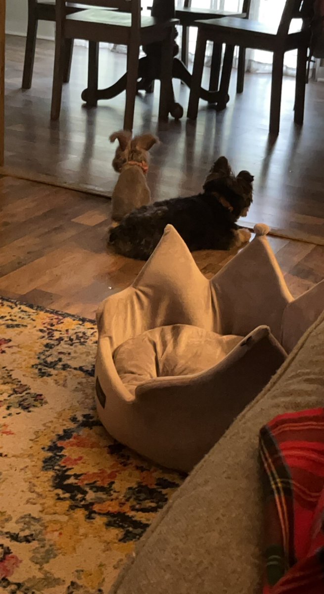 Bestest fwands wiff my sissy <a href="/FlopsyMae/">Flopsy Mae</a>