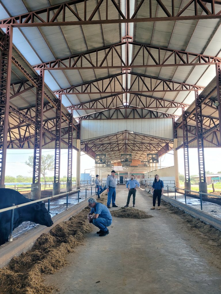 Mesadefinanzas's tweet photo. Seguimos fortaleciendo vínculos con aliados estratégicos de la #MFS, en el marco del proyecto #Agroideal. 
En la jornada de hoy conocimos modelos productivos desarrollados en el #Chaco paraguayo, acompañados por @ideagropy. https://t.co/LMszQFenBq