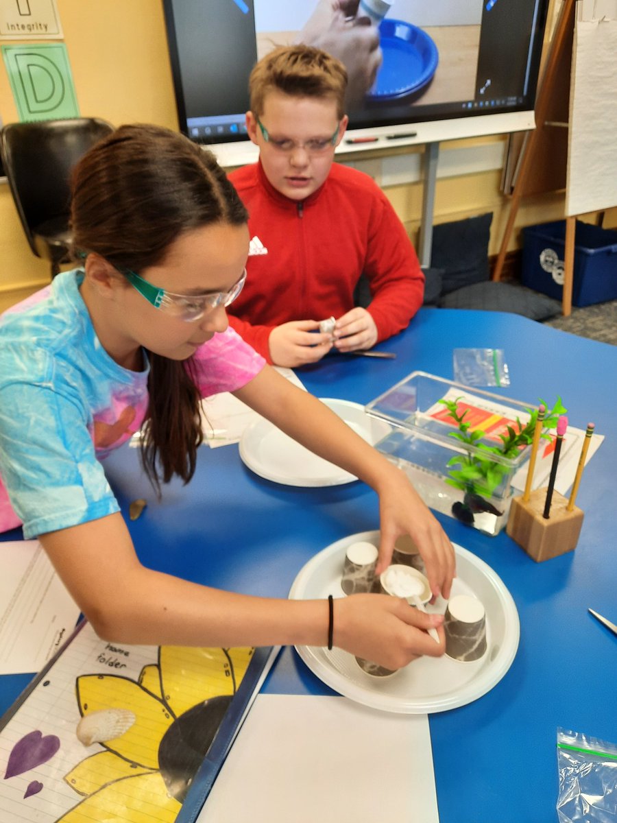 Mrs. Hey's 5th Grade tweet media