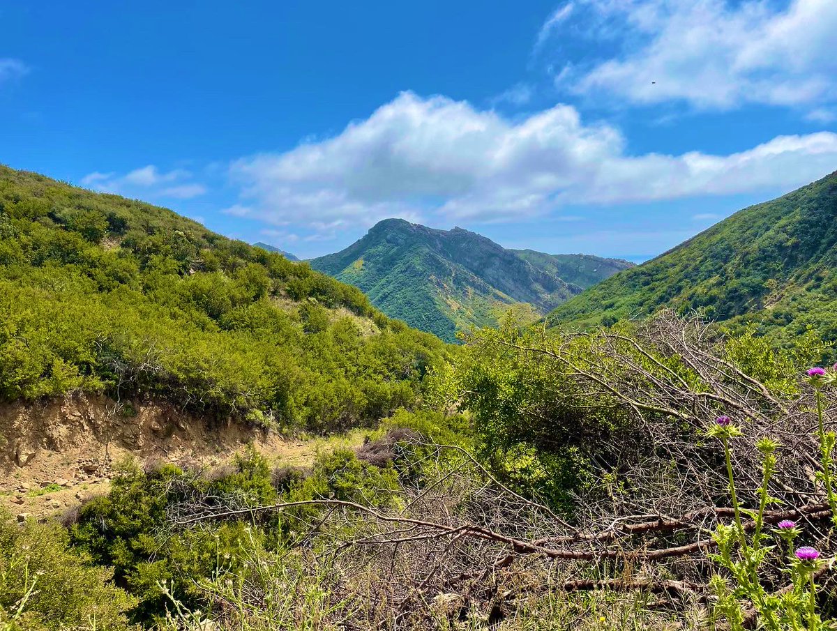 adityad1's tweet image. 