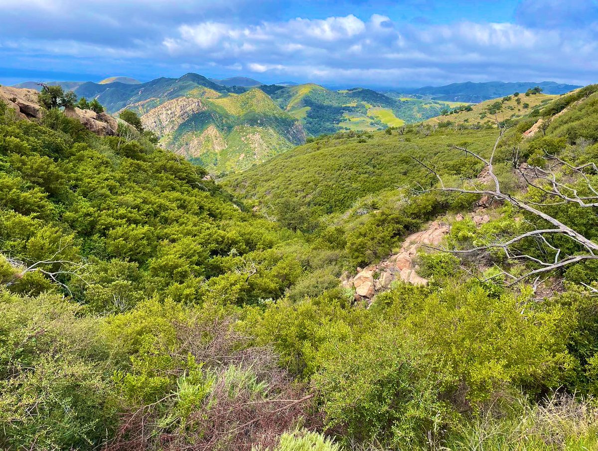 adityad1's tweet image. 