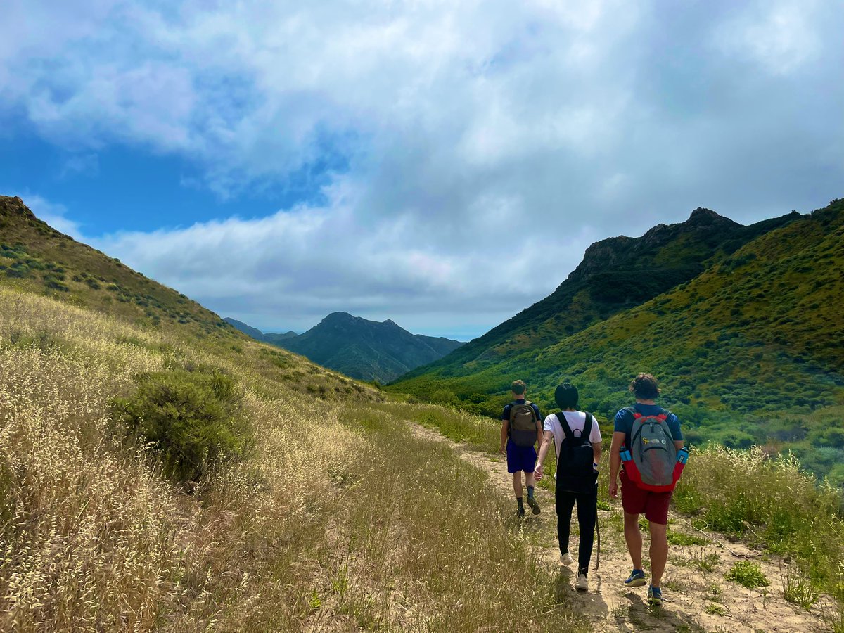 adityad1's tweet image. 