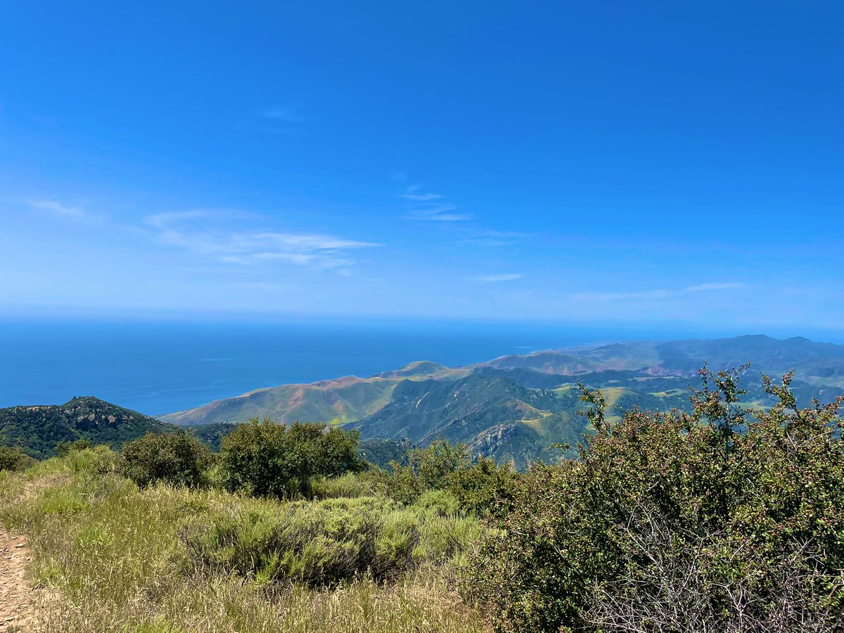 adityad1's tweet image. 