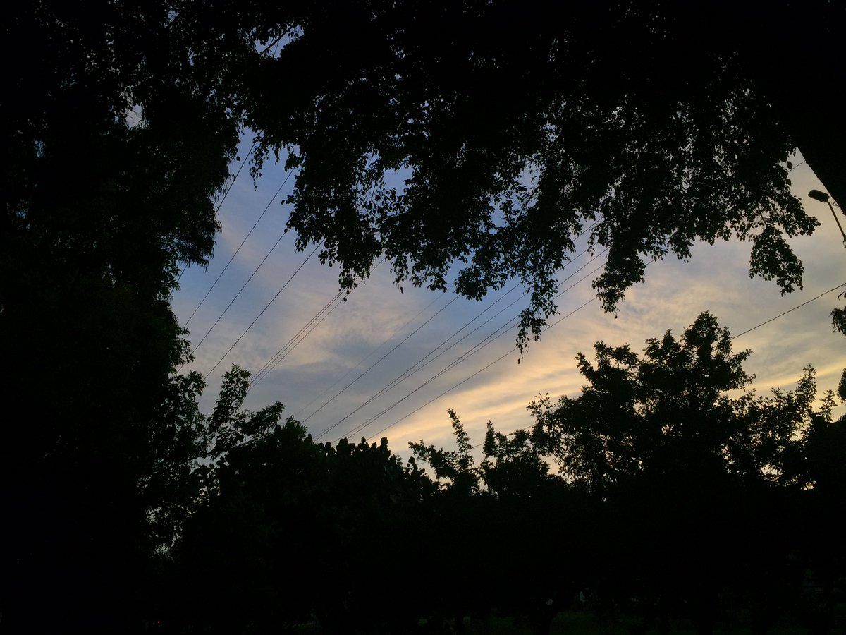 Happy 4/20 everyone!!