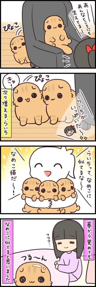 夢に現れた愛猫の増殖(!?)には嬉しい悲鳴しかない【連載】もふもふスコたん#222|ねこのきもちWEB MAGAZINE https://t.co/83MWH64td0 