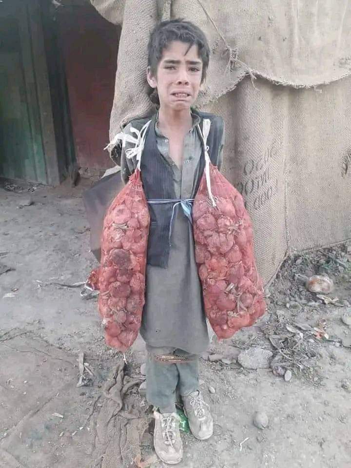 abdulwodoo's tweet photo. صاحبه غل نه یم مجبور یم 
کورکې راته مجبوره کونډه مور او بې پلار ورنه خویندې وږې 
ناست دې ?¿ https://t.co/KzmzTfrDAe