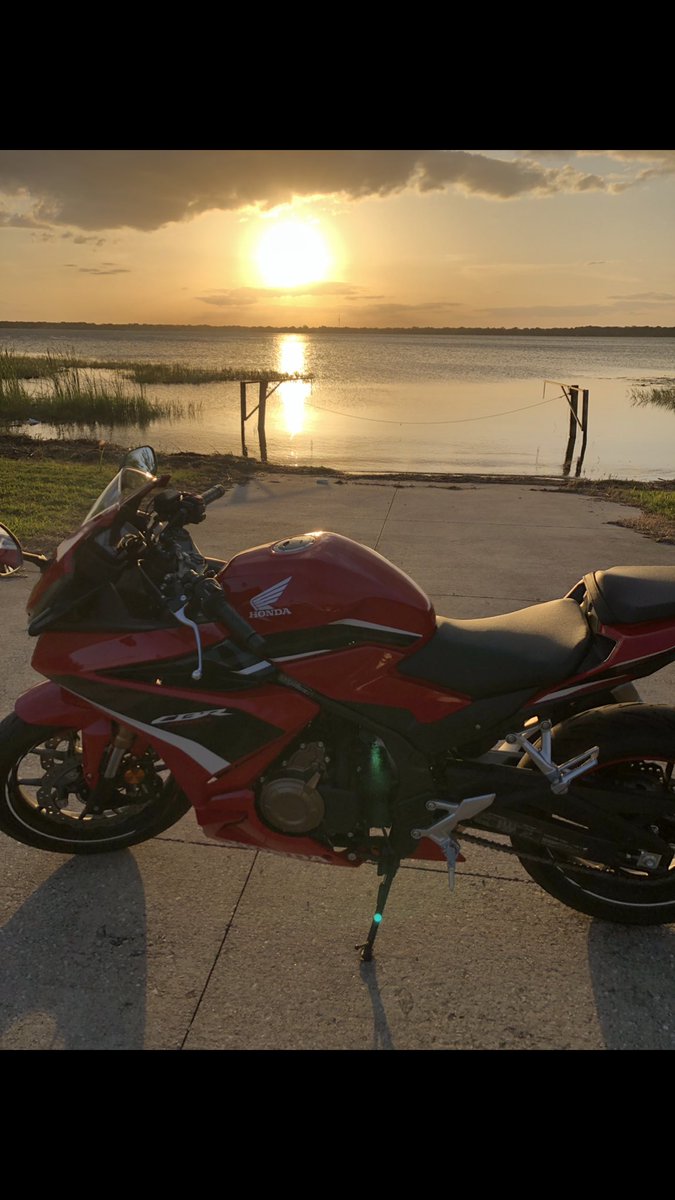 it’s in my blood 🌻