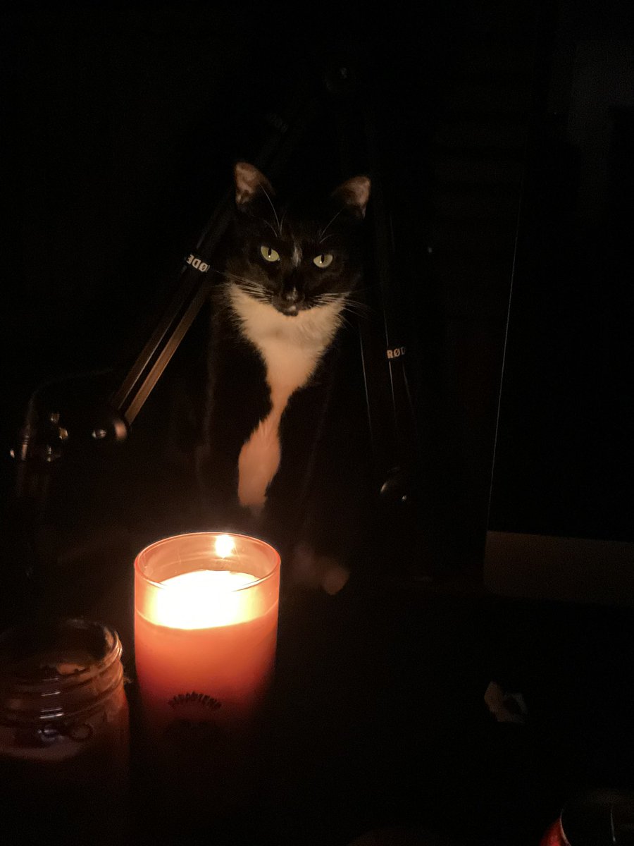 parafiendpod's tweet photo. Loki wants you to listen to Parafiend. Don’t disappoint him. #cat #CatsOfTwitter #CatsOnTwitter #catsofinstagram #CatsLover https://t.co/E7jEm28Ru1