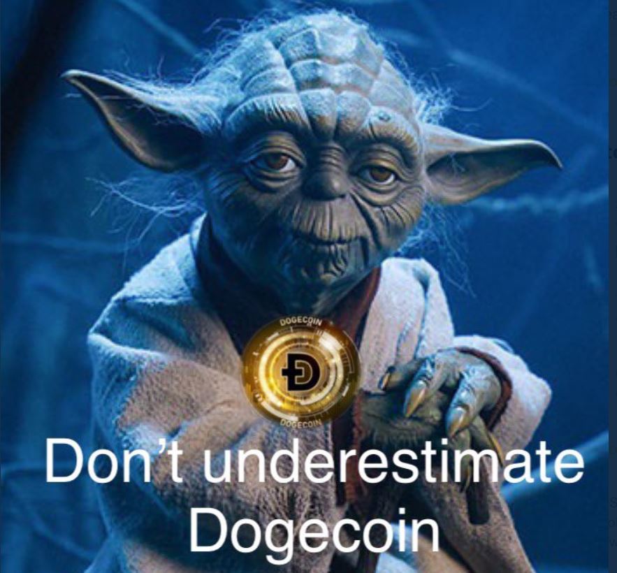 dogeQUAN tweet media