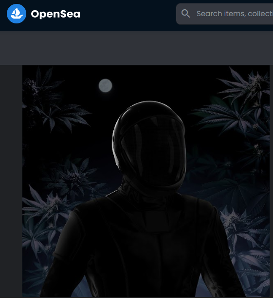 Yisus_Develop's tweet photo. luego de numerosos aprendizajes logramos obtener nuestros NFT’s de @SpaceResist_NFT .  GRACIAS TOTALES . 420 https://t.co/qQQ9f9awlq