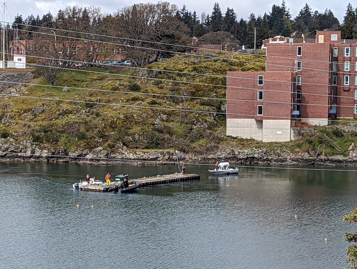 Putting docks in place. This is our new 'D Dock'. #volunteers #comunity