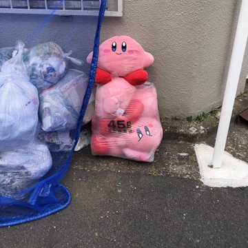 画像 / Picture