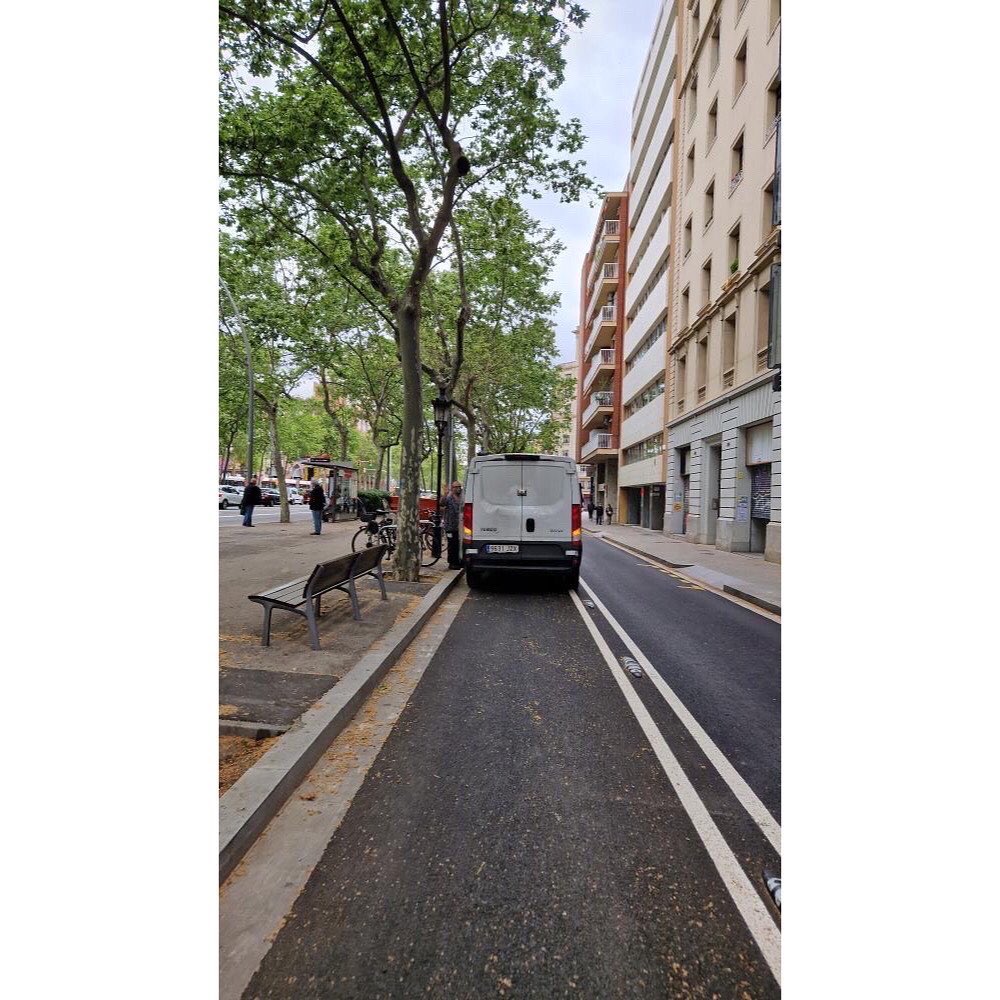 Carril invaders tweet media