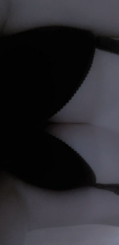 kitten ♡ tweet media