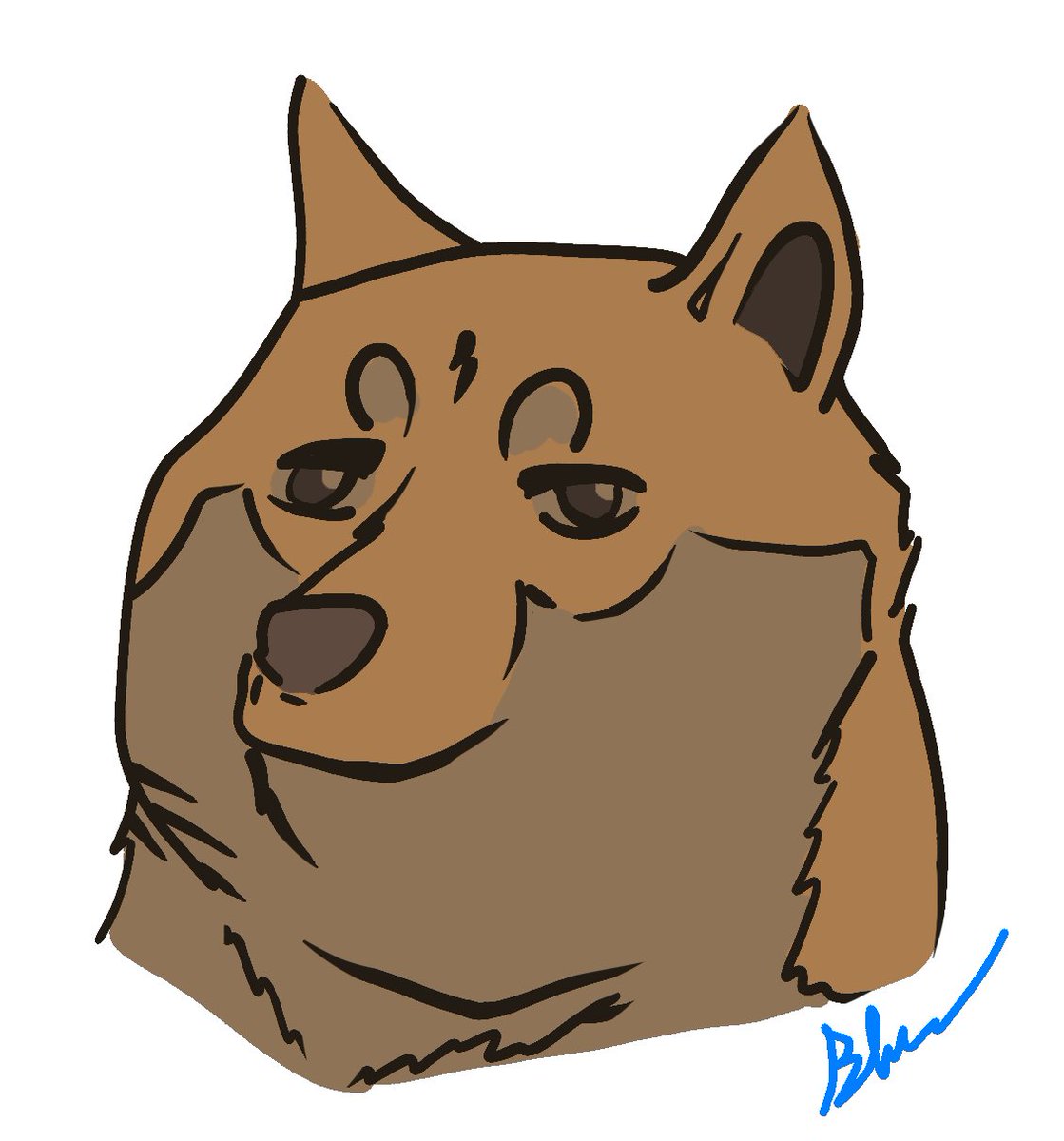 13luebear's tweet photo. In honor of Doge Day #doge #borf #verywow https://t.co/shpgVi1MGb