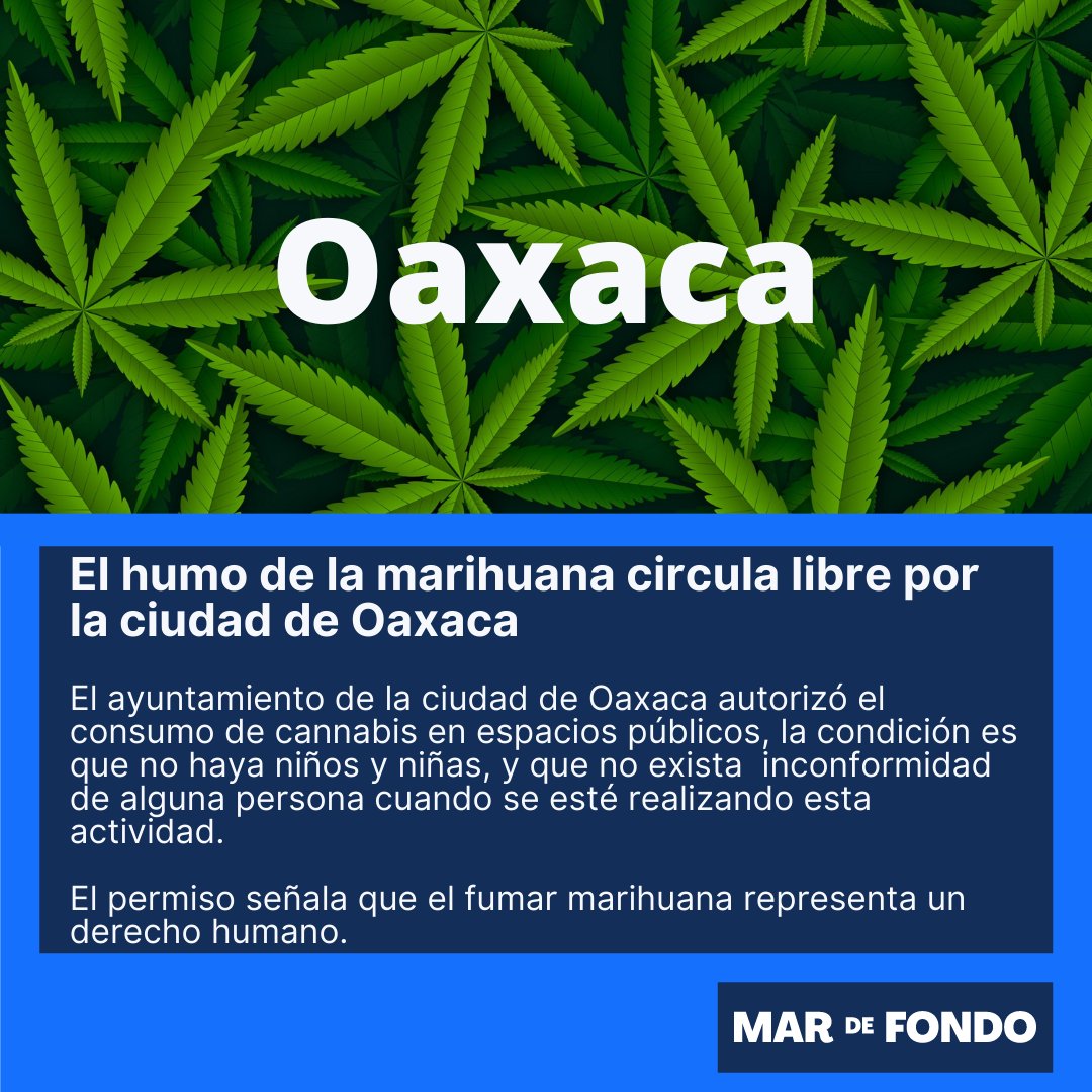 ¡Oaxaca lo vuelve hacer, legislando a favor de los #DerechosHumanos! En esta ocasión el Ayuntamiento de #Oaxaca de Juárez abre la puerta al consumo #marihuana.

Lee la información completa dando clic aquí 🌿 bit.ly/3EC2xcz

#420 #cannabis #Legalización #Despenalización