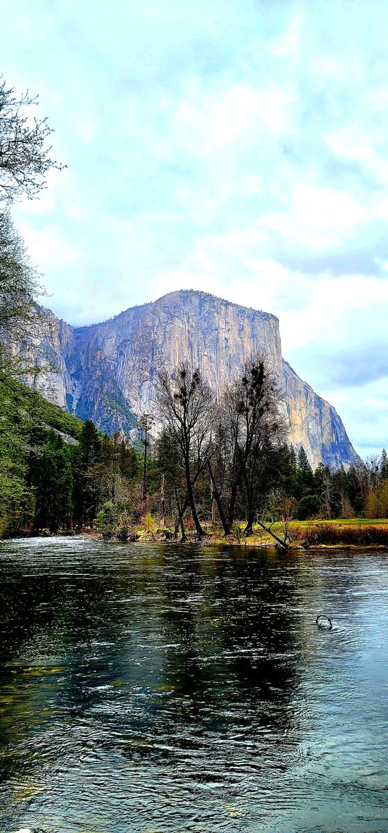 charm_rk's tweet photo. #yosemite @YosemiteNPS #NationalPark #California https://t.co/mWl5Fne6Hv