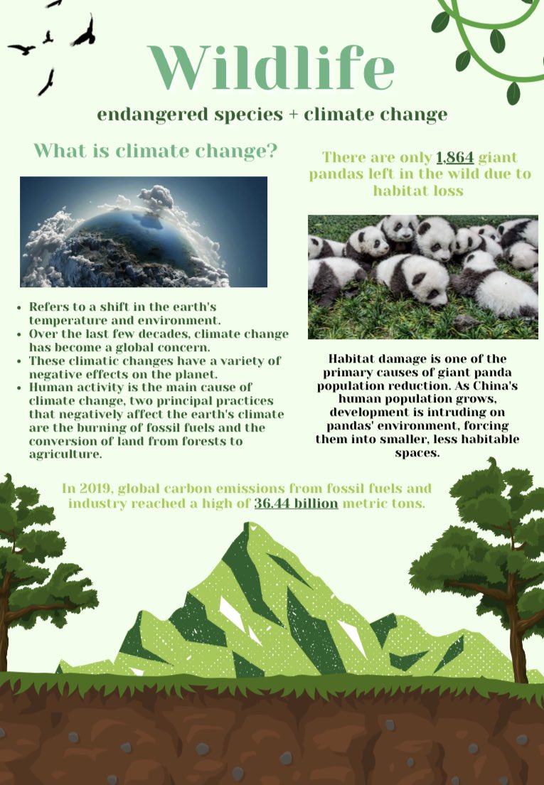 HTS Eco-Team tweet media