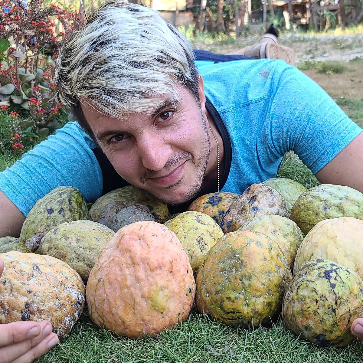 DeZaceta's tweet photo. TIENES QUE PROBAR ESTA RICA FRUTA CUBANA QUE CODECHAMOS HOY MIRA COMO LA PROBAMOS Y COMO SE LLAMA EN CUBA.
👇👇👇👇

https://t.co/nlOHWhBi3L https://t.co/cJUAY2TqI5
