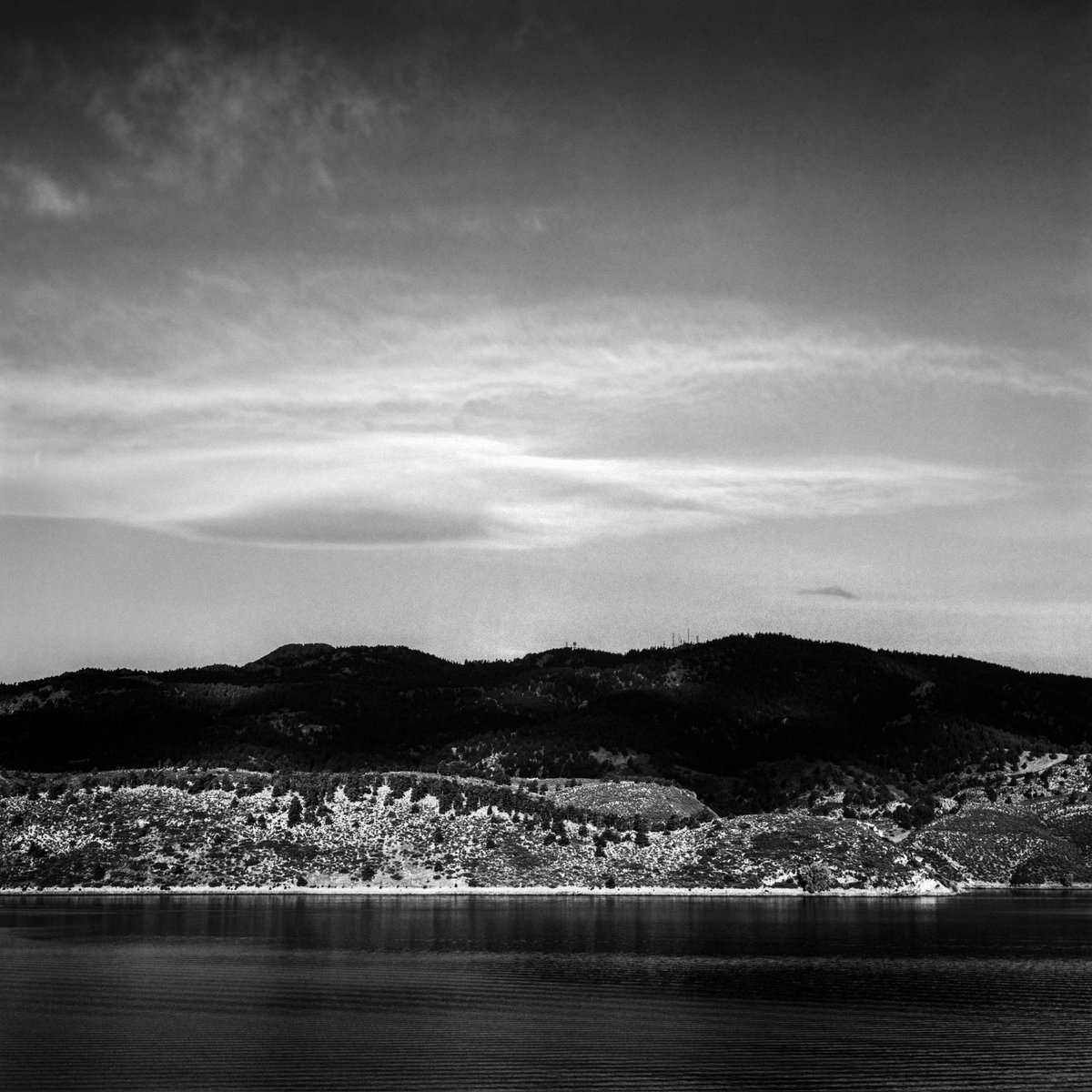 Channel Otter tweet media