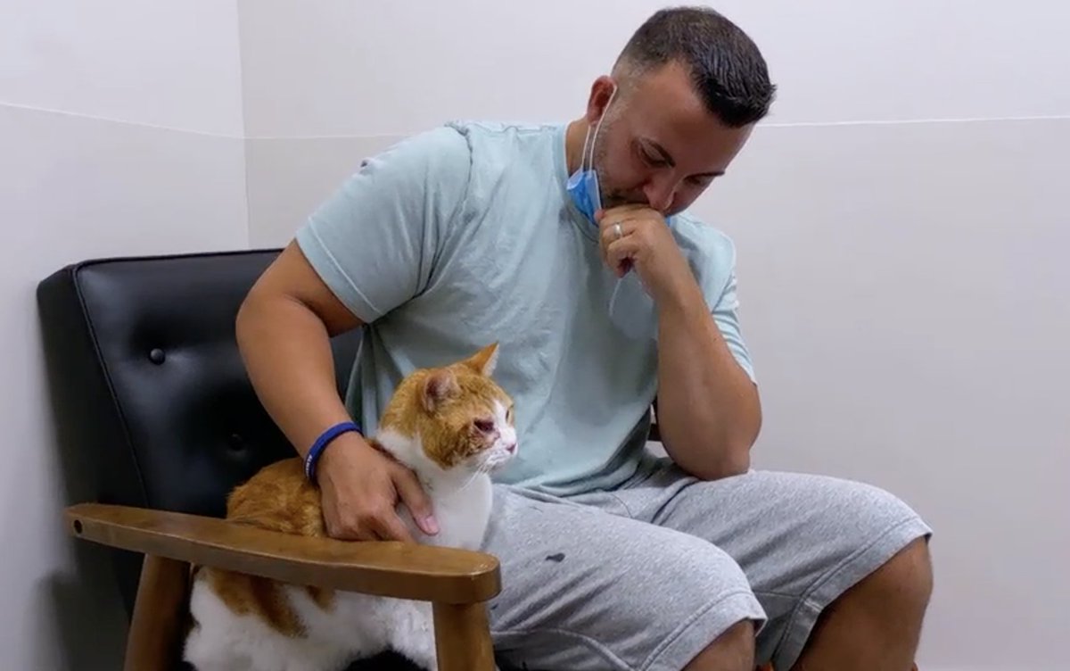 RealiTV with Bee tweet media