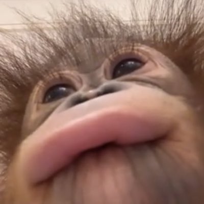 honkymonki's tweet photo. #NewProfilePic https://t.co/eyQfIZONmG