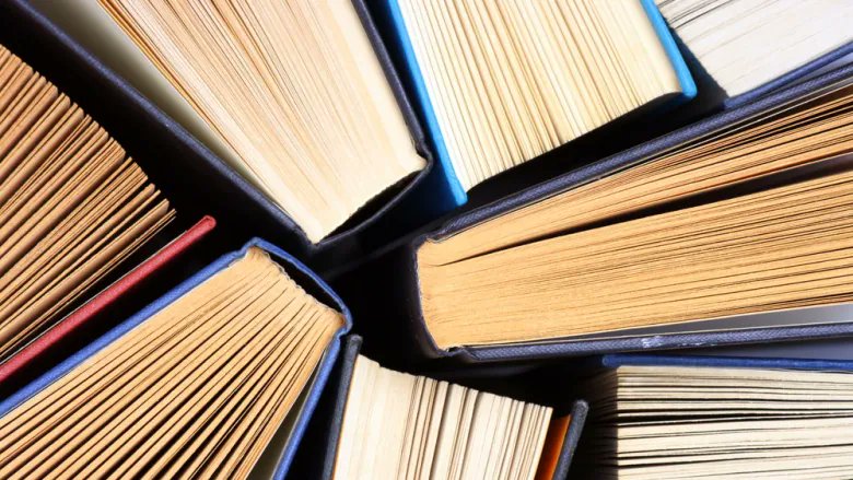 Happy #NB #Literacy Day! I hope you have a magical #book to get lost in tonight, or maybe one that challenges and inspires you, or a page-turner that keeps you on the edge of your seat ... So many books, so little time. #reading #literature (Shutterstock)