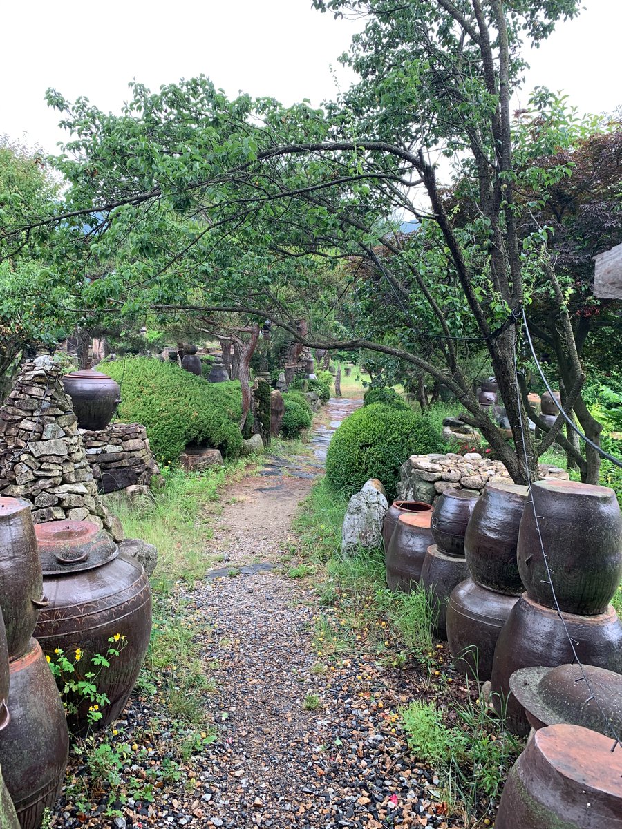 Chickadee_app's tweet photo. A long time ago when having a fridge was a privilege, these traditional earthenware jars were used to save fermented food and sauces such as Kimchi, Doenjang and Gochujang. Some households even buried these jars underground to keep the food as fresh as possible. https://t.co/xmHhCLrYqs